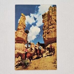 Vintage New Color Photo Post Card Mossy Cave Trail Bryce National Park